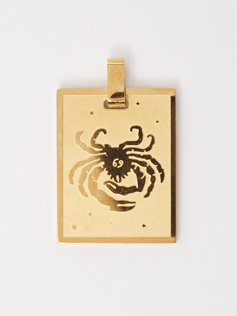 Close up flat lay of Cancer Charm charm Bagatiba