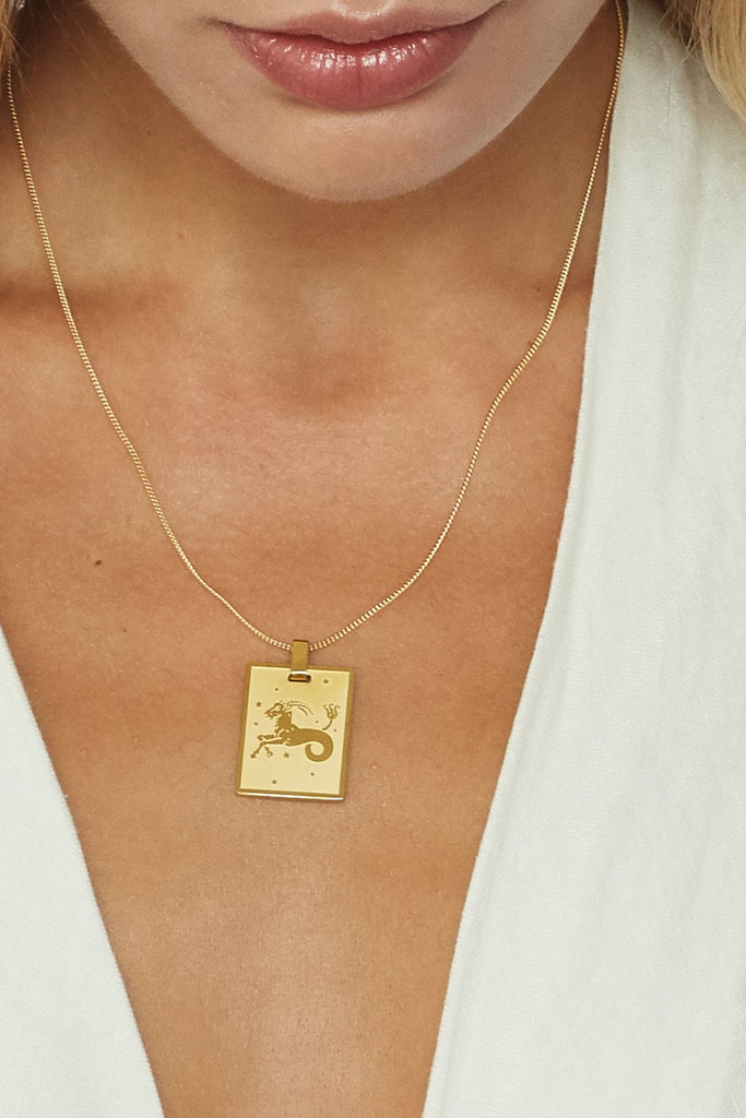 Cropped view on model of Capricorn Charm charm Bagatiba