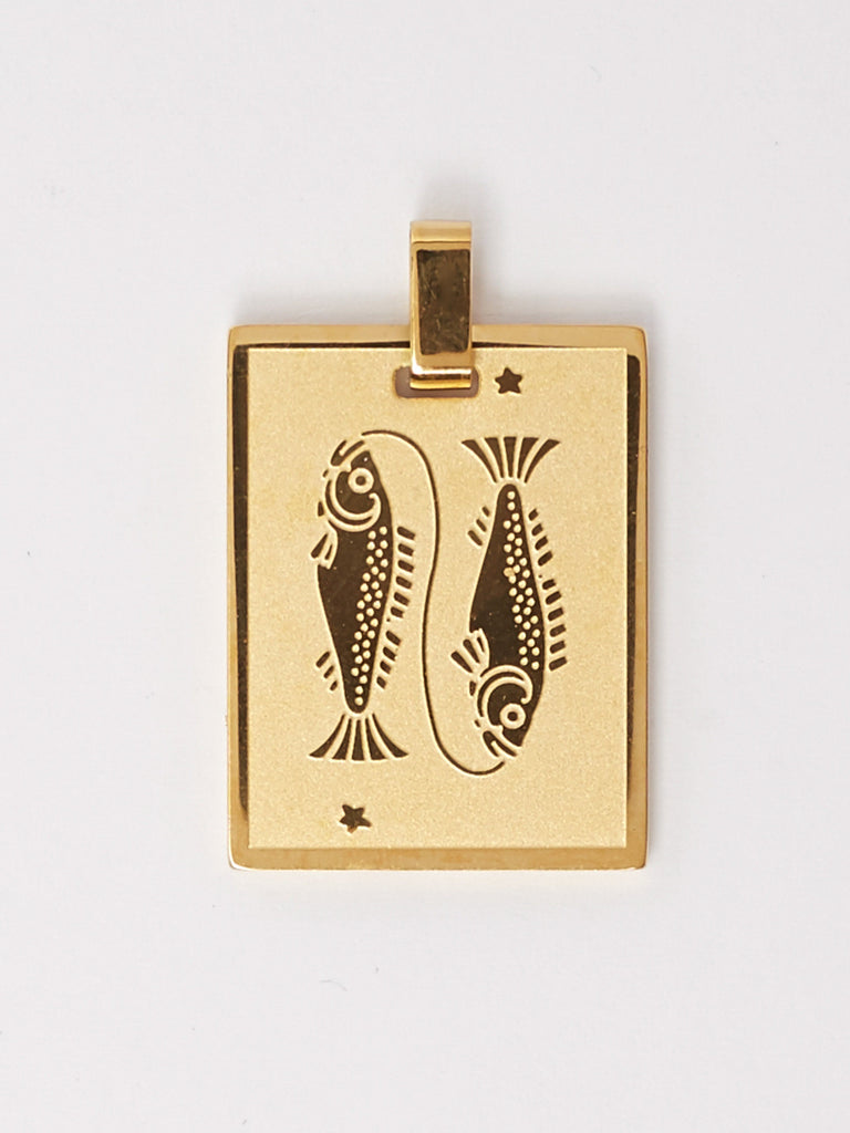 Close flat lay view of Pisces Charm design by  Bagatiba