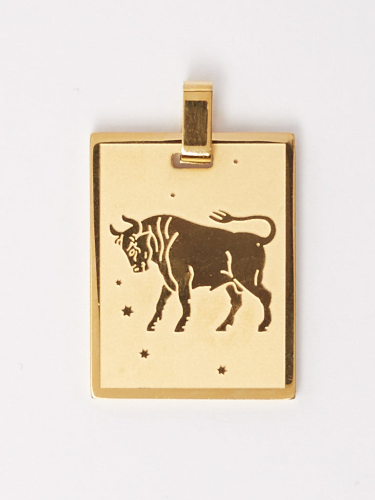 Detail flat lay of Taurus Charm charm Bagatiba