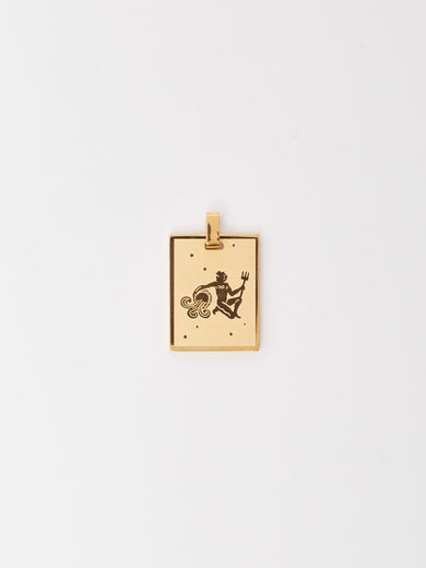 Aquarius Charm