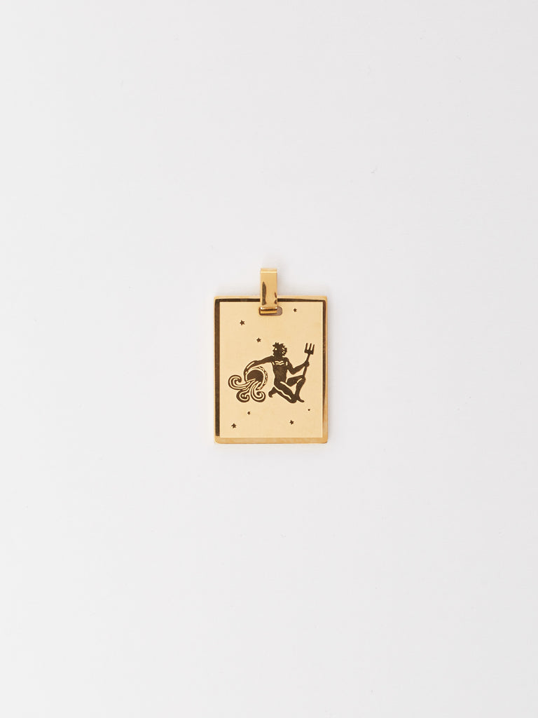 Aquarius Charm