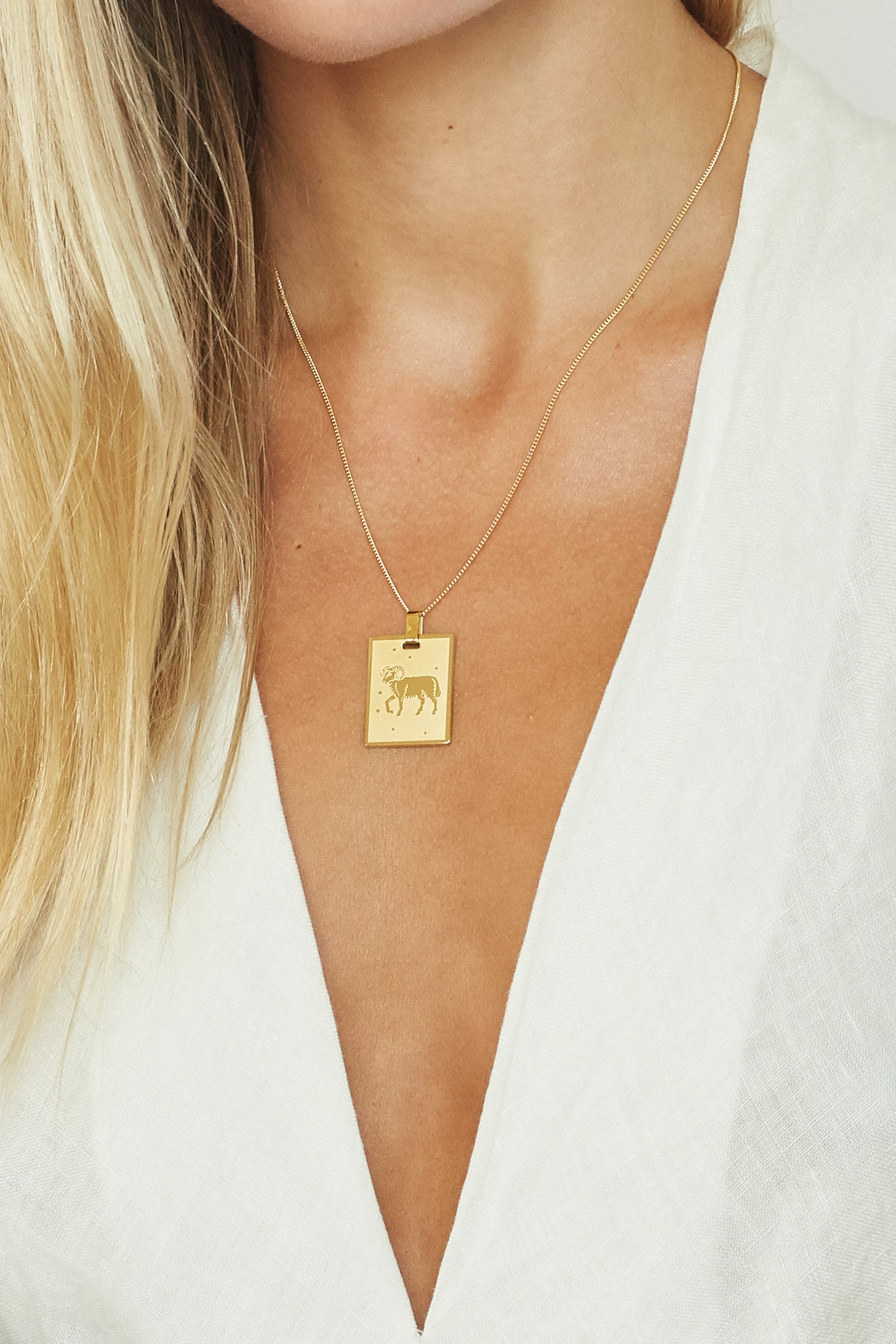 Cropped view on model of Aries Charm charm Bagatiba 