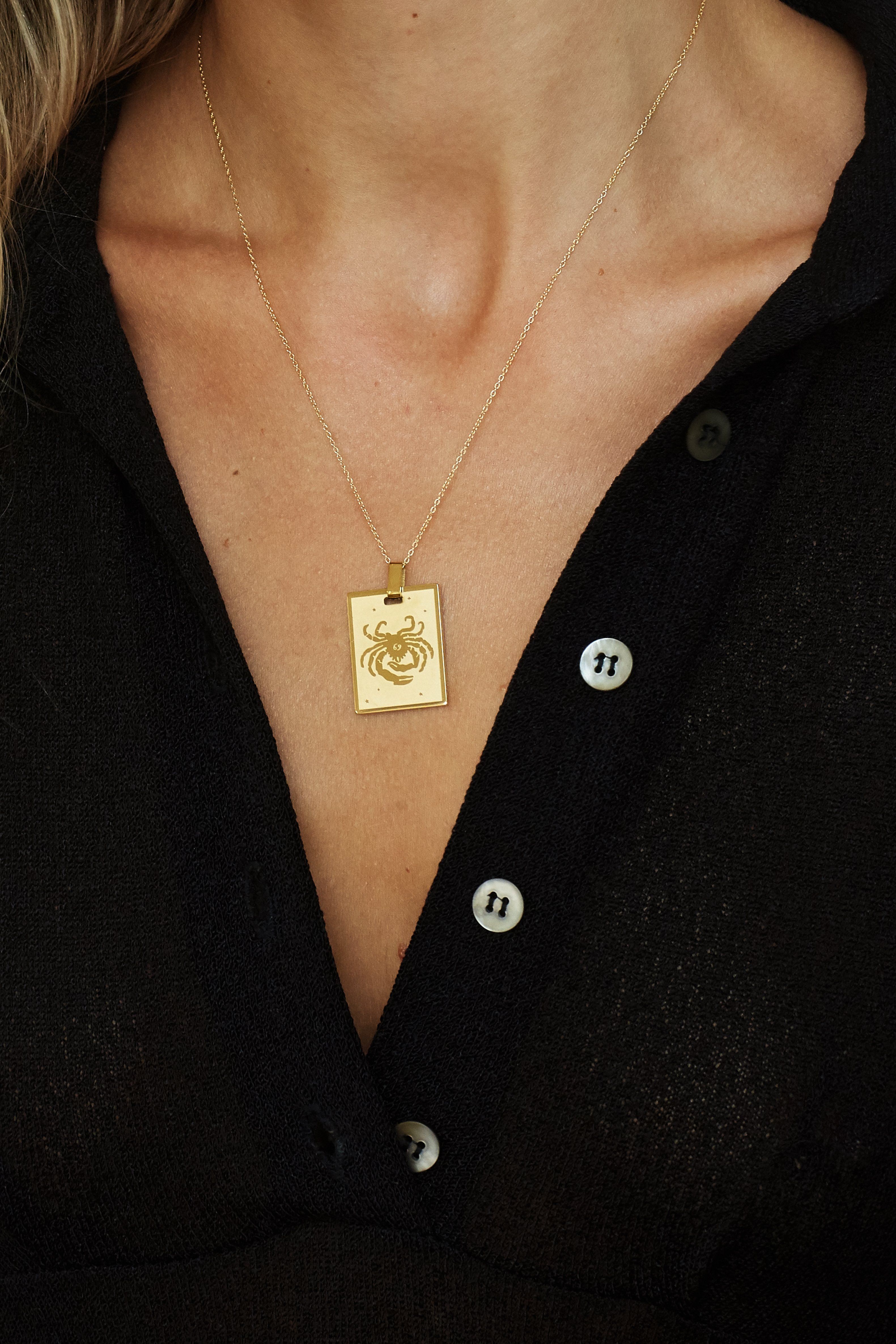 Cropped view on model of Cancer Charm charm Bagatiba 