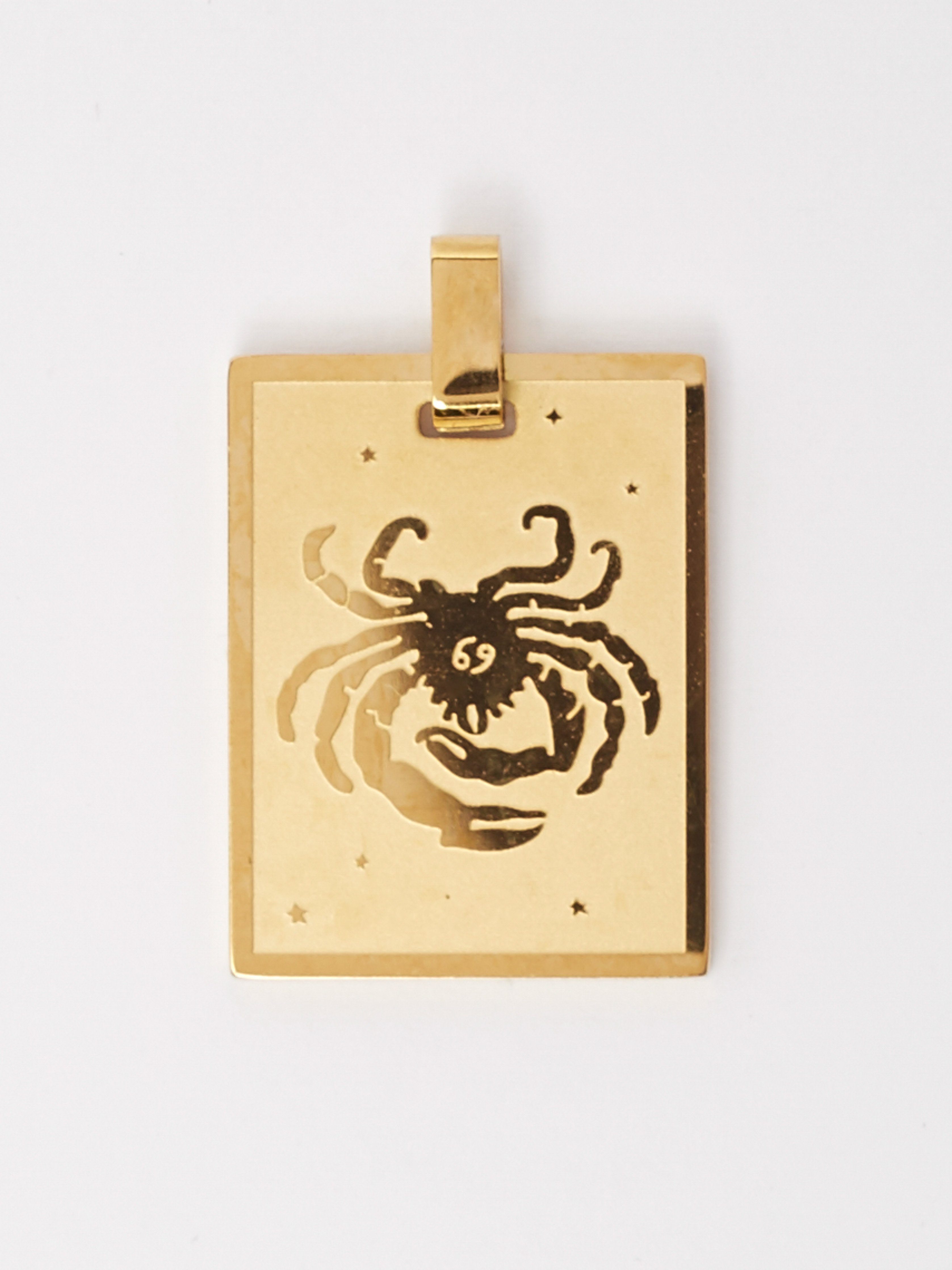 Close up flat lay of Cancer Charm charm Bagatiba 