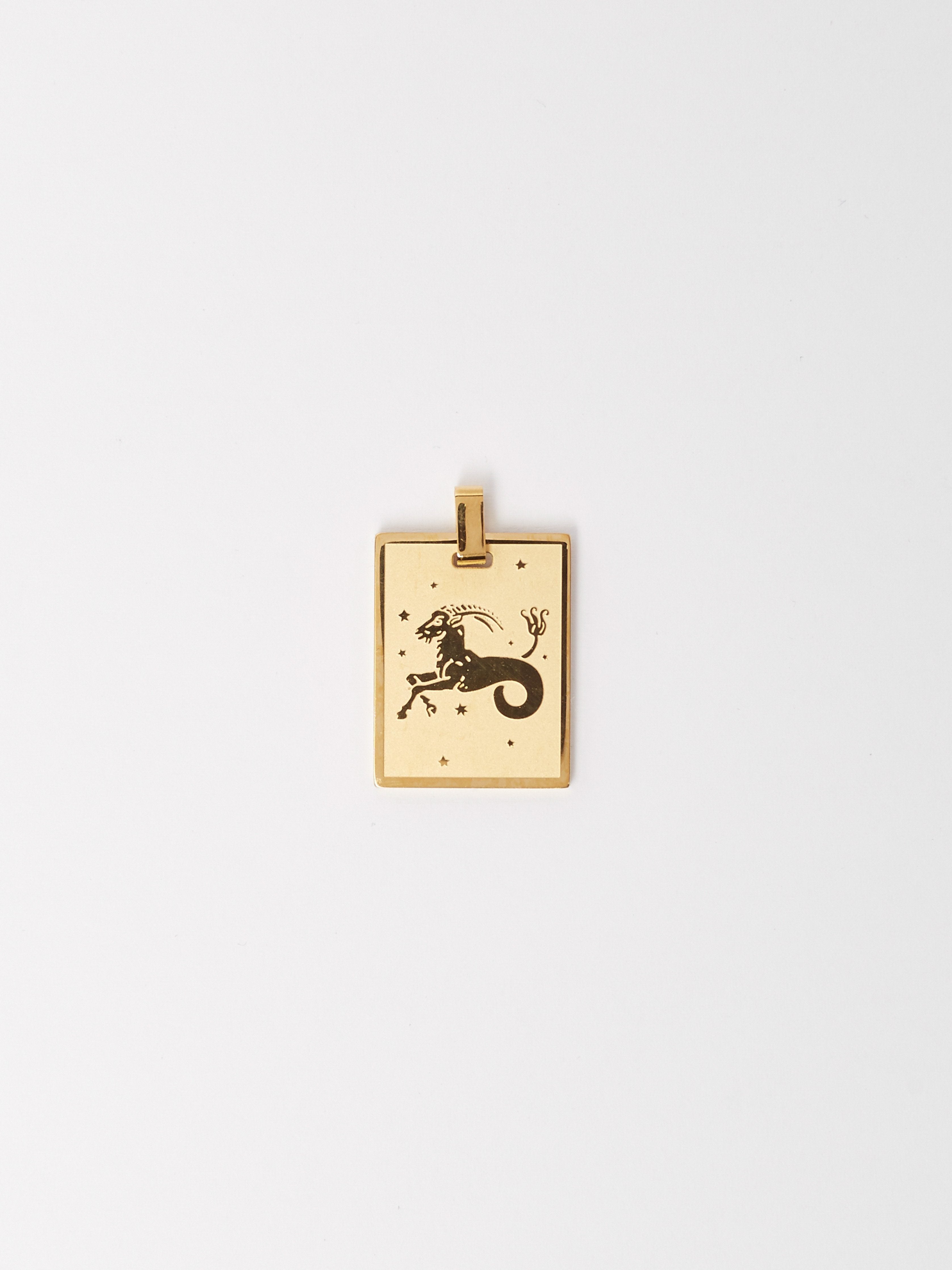 Full view flat lay of Capricorn Charm charm Bagatiba 