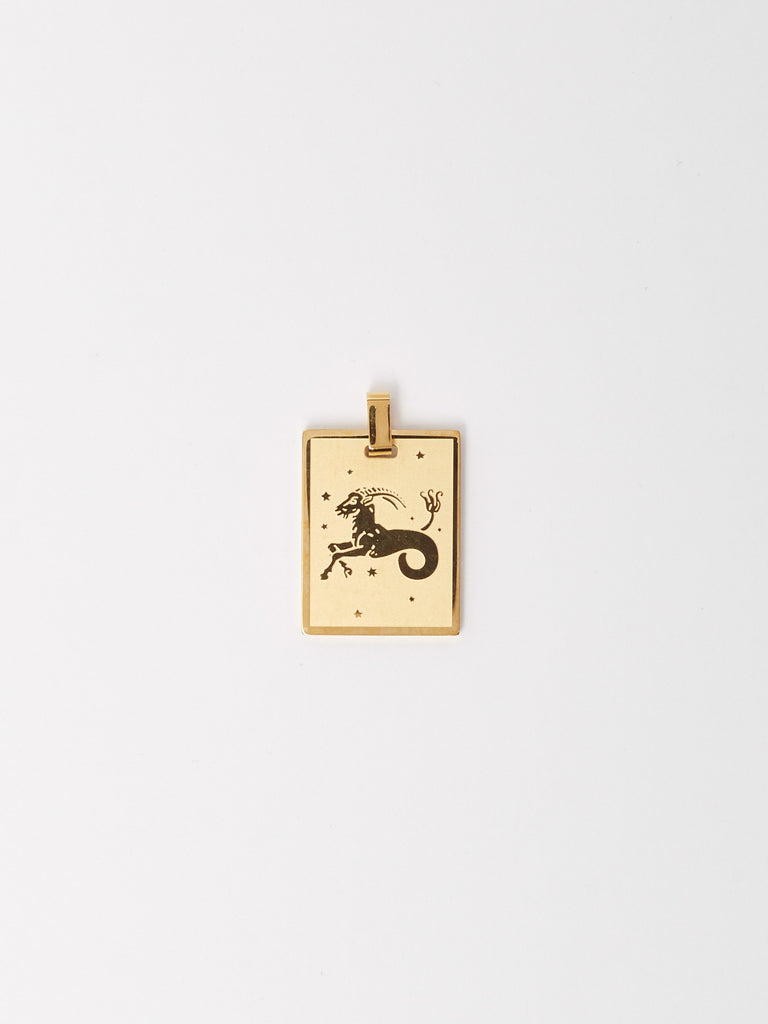 Capricorn Charm