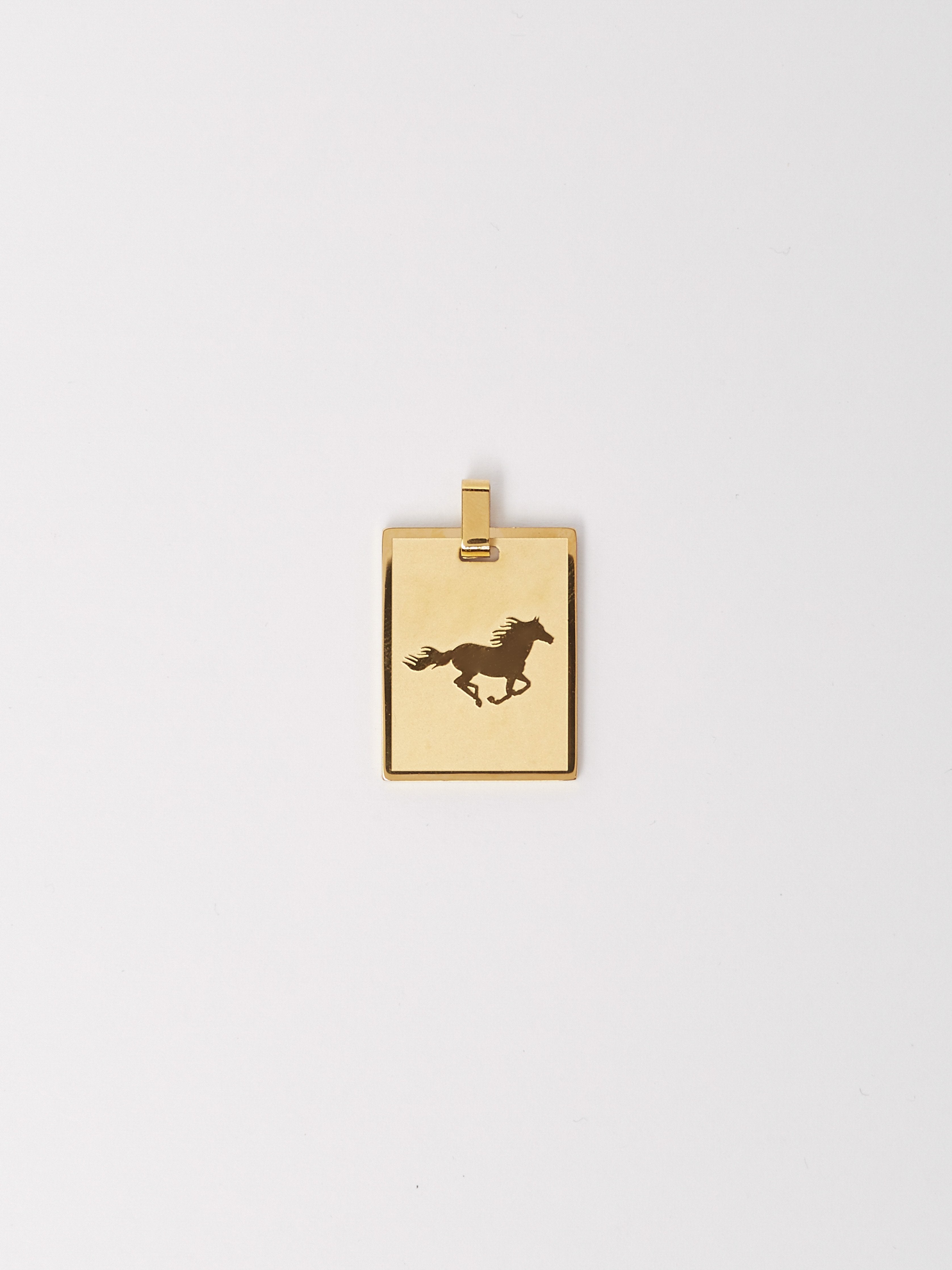 Flat lay of Horse Charm charm Bagatiba 