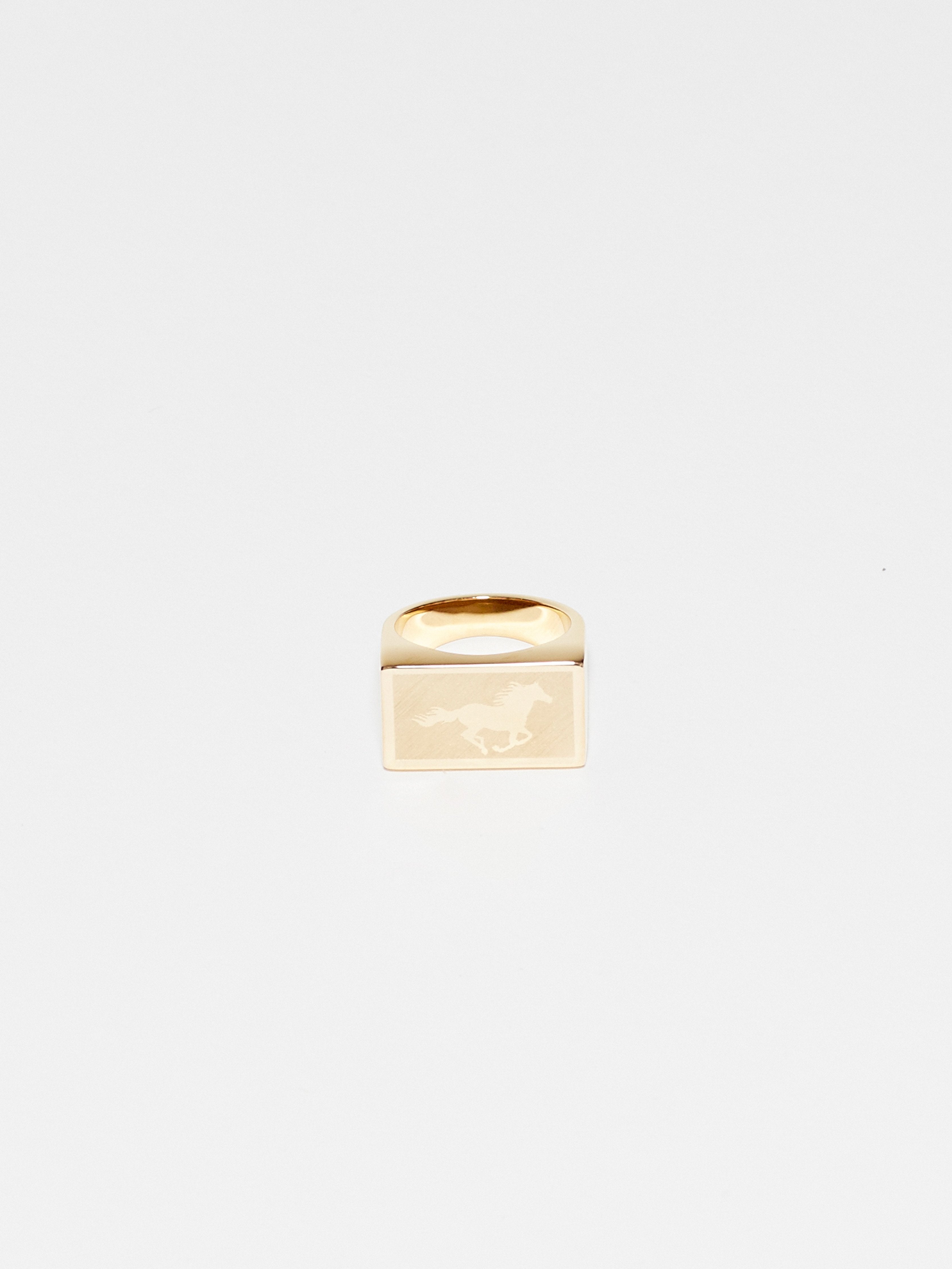 Front view flat lay of Horse Signet Ring charm Bagatiba 
