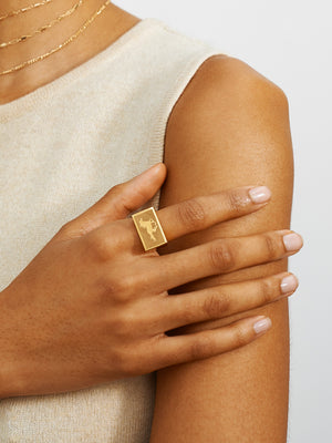 Horse Signet Ring - rollover