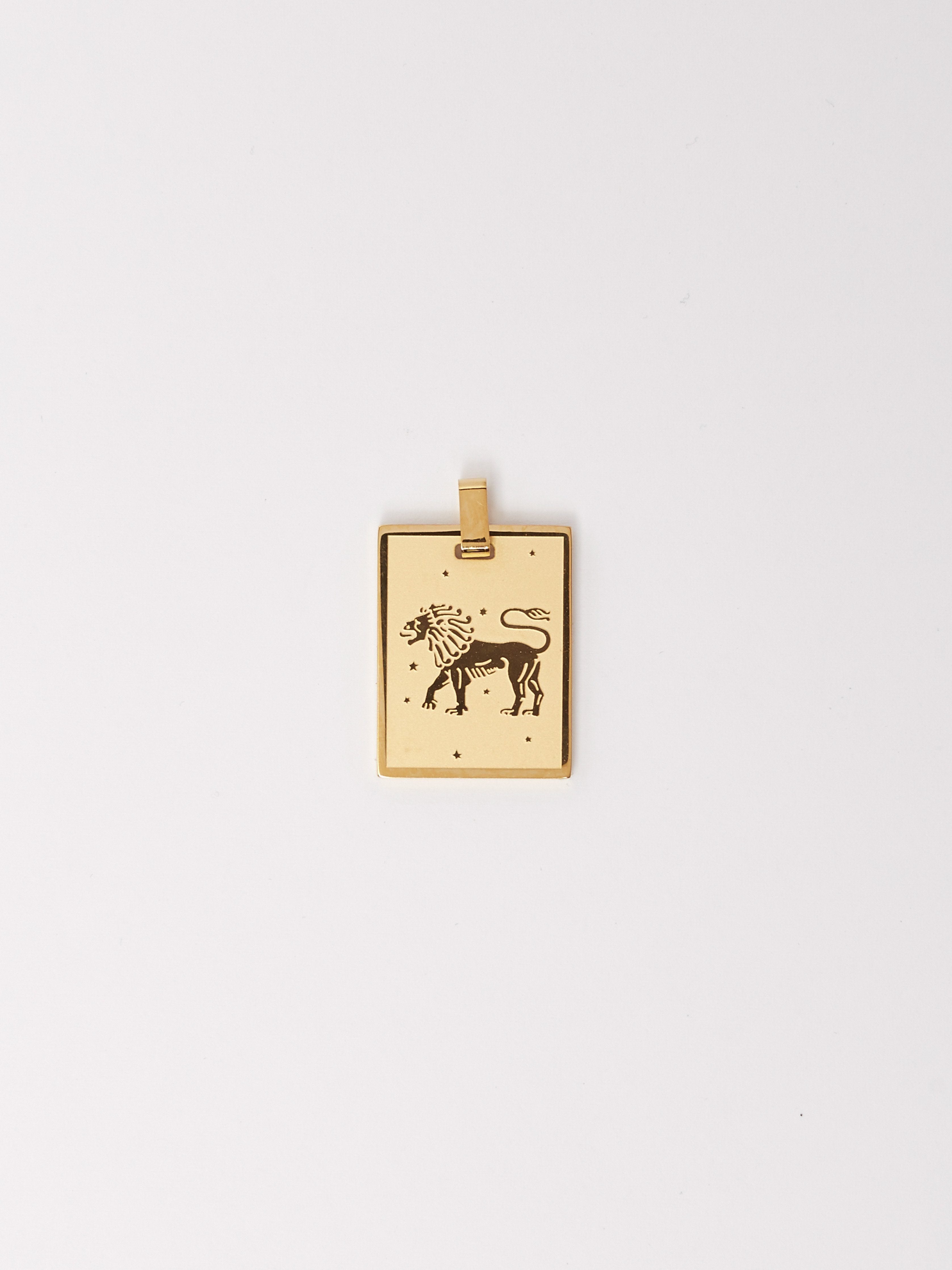 Flat lay of Leo Charm charm Bagatiba 