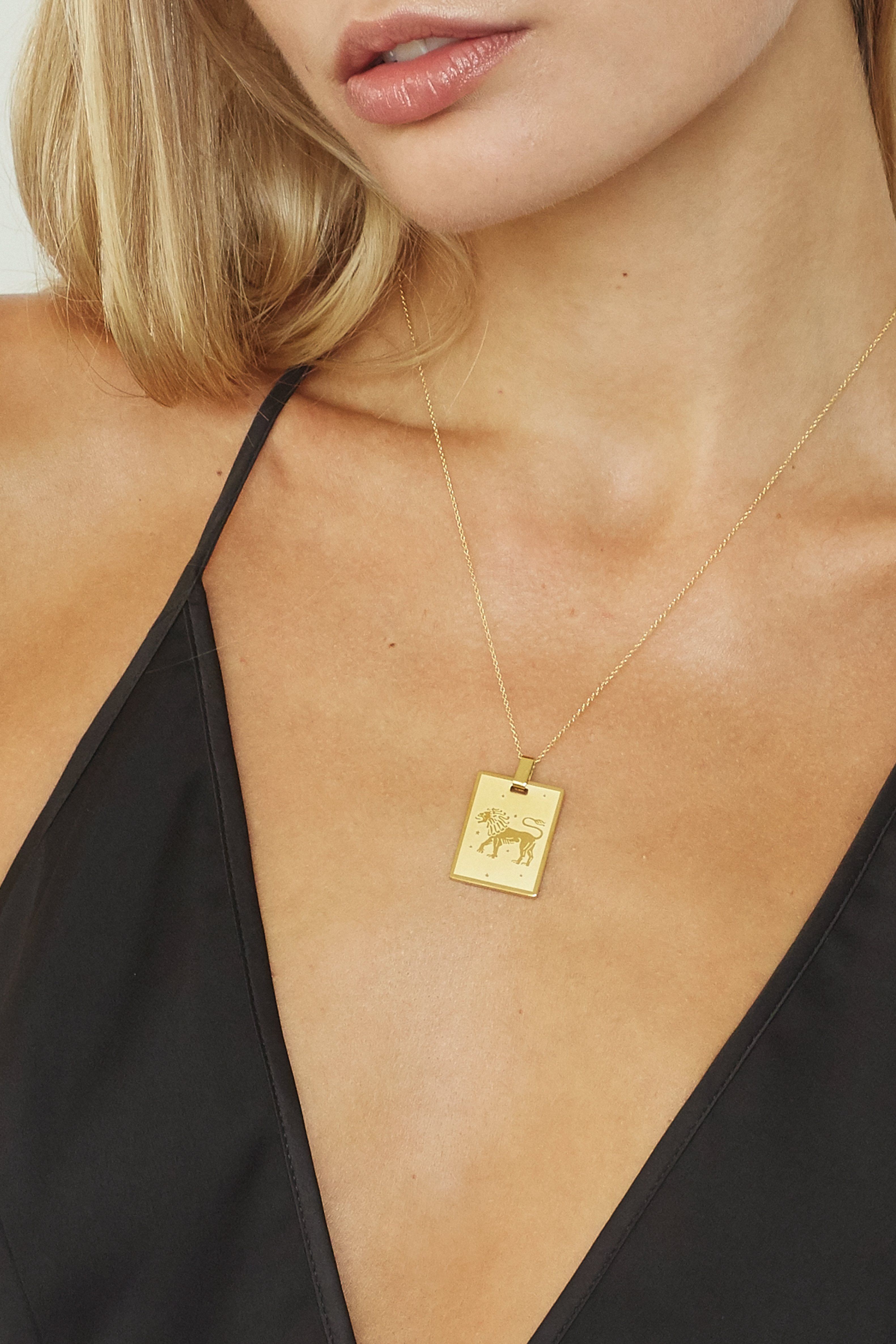 Cropped view on model of Leo Charm charm Bagatiba 