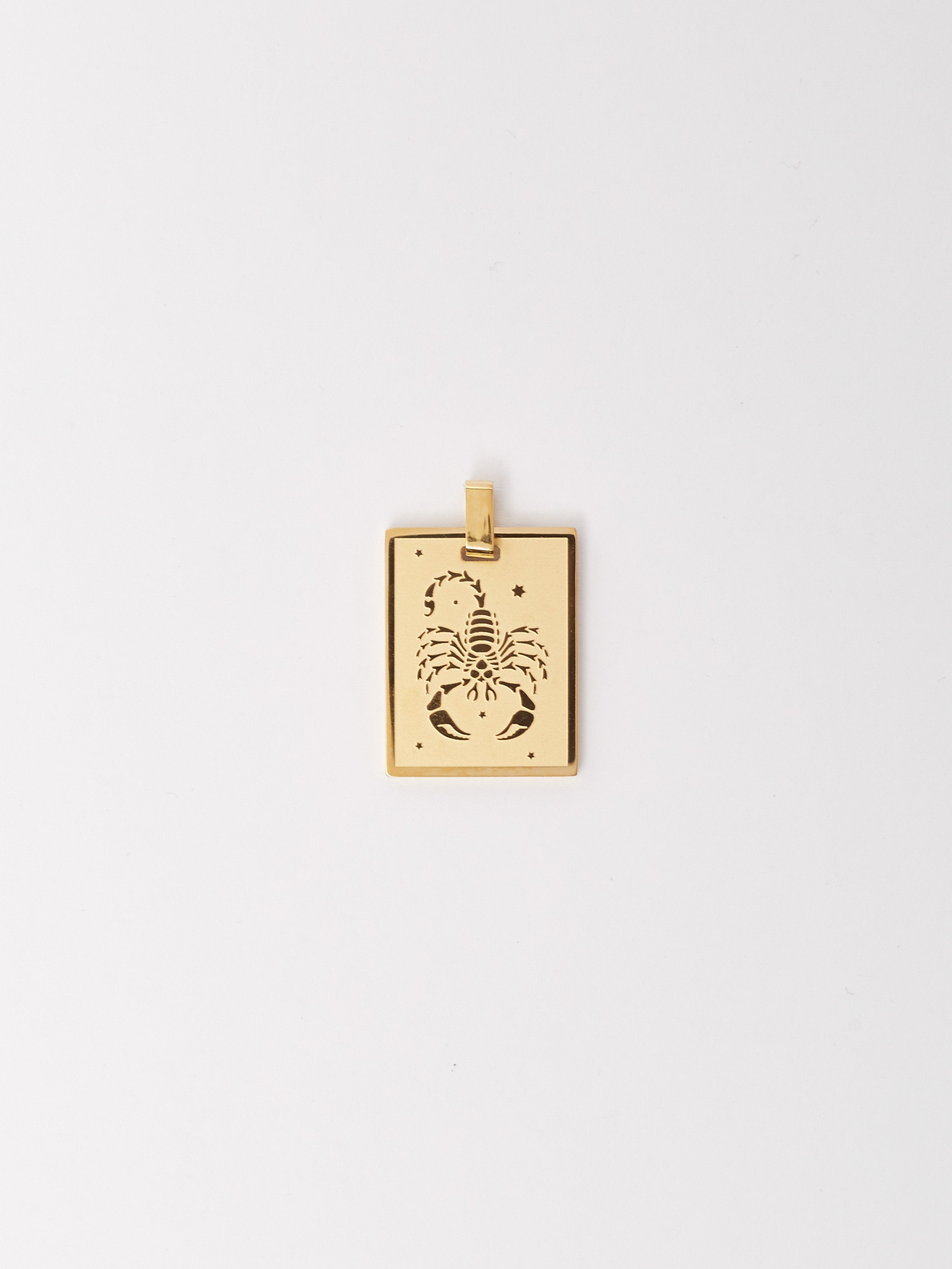 Full view flat lay of Scorpio Charm by Bagatiba 