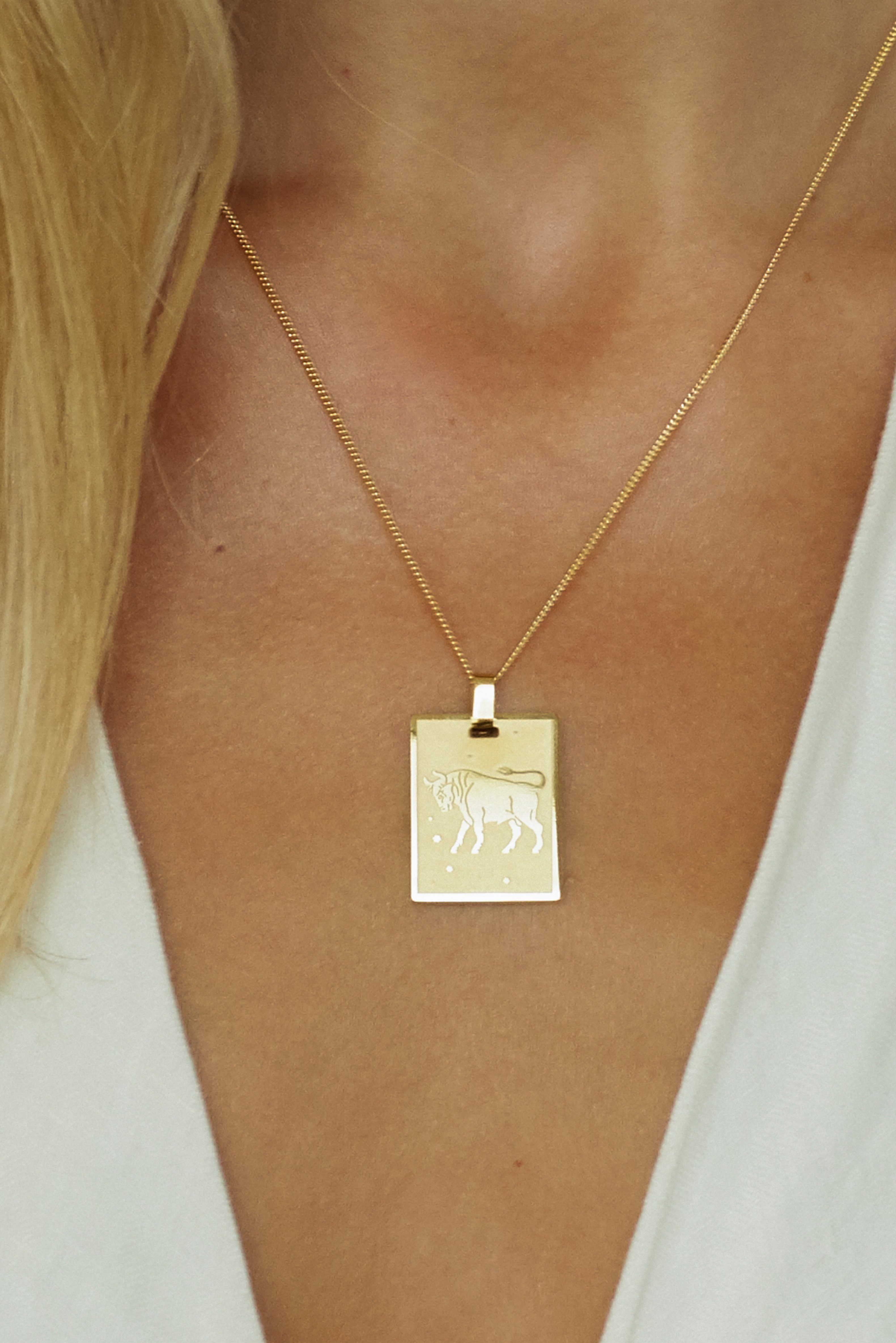 detailed view on model of Taurus Charm charm Bagatiba 