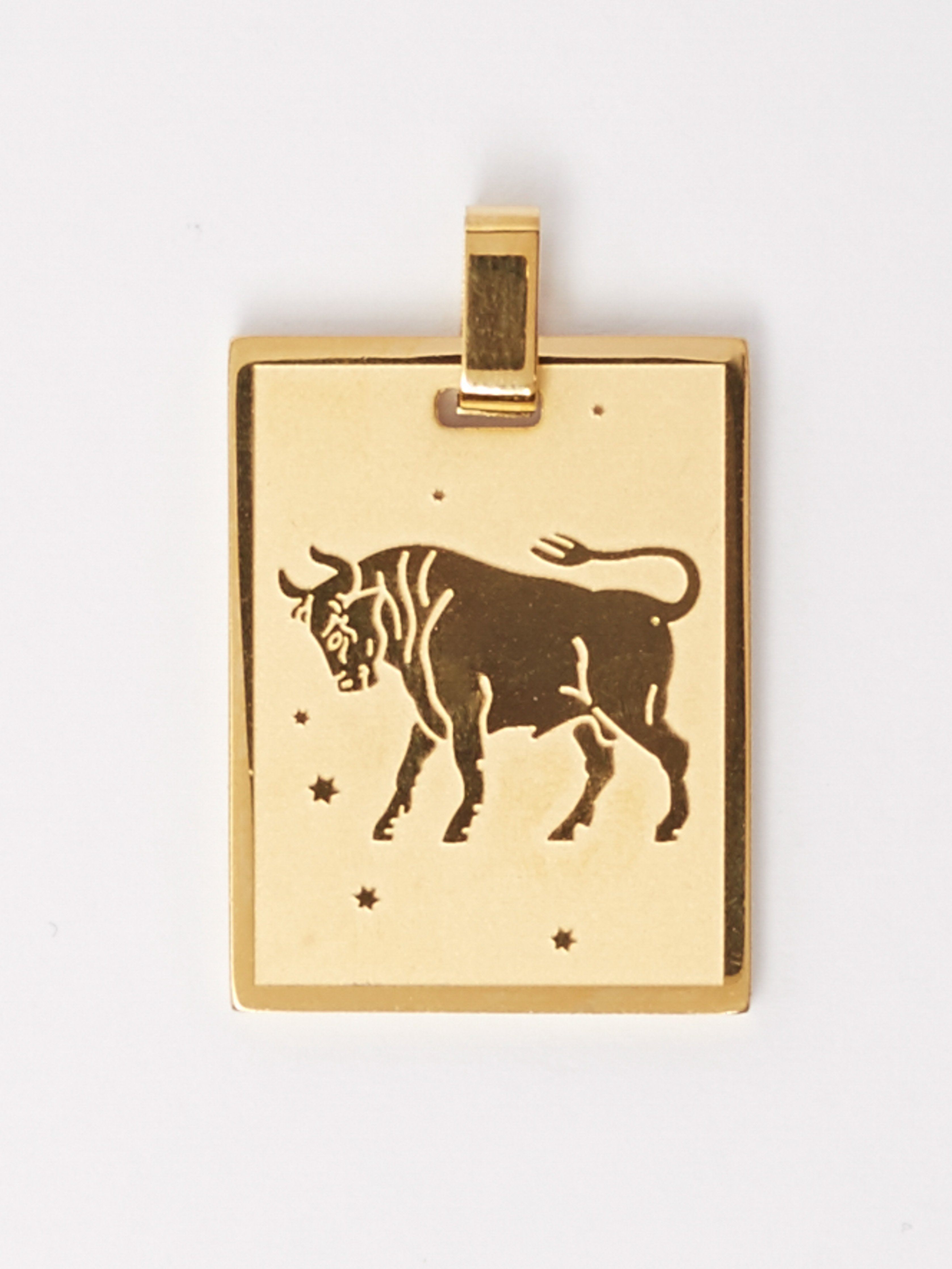 Detail flat lay of Taurus Charm charm Bagatiba 