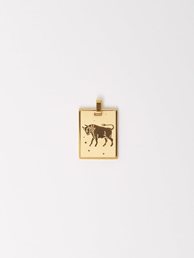 Taurus Charm